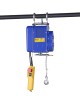 Gereedschapplek|GereedschapplekTorso Mobiele elektrische Takel 300/600 kg